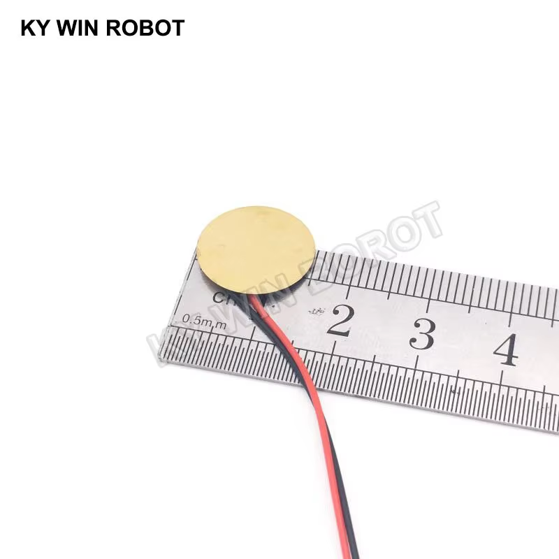 10 Stück piezoelektrische Piez – R/Diy Electronics Bewertung und Preis
